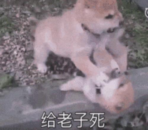 因凡蒂诺发,来祝贺,海港中超夺,银行娱乐,在线娱乐平台,博彩平台,安全支付,真人娱乐,网上博彩