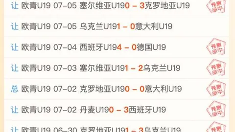 热刺新援托纳利：改变决定，热刺之旅蓄势待发加盟独家解读